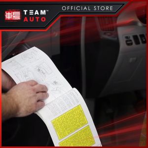 TeamAutoCare TAC6247 100 Pieces Automotive Standard ATO Blade Fuse 10A Replacement Kit with Storage Case and Fuse Puller for Cars  Trucks  Motorcycles