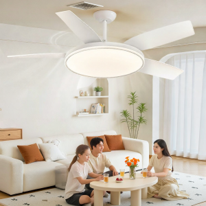 NVC | Modern Full Spectrum Energy Efficient Fan Light