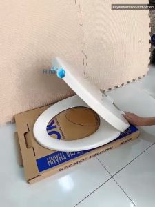 Nắp Bồn Cầu Rơi Êm 1kg2 1kg5 Nắp Bồn Cầu Rơi Êm Cao Cấp Nắp bồn cầu hơi