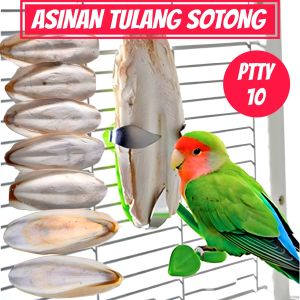 [[ 1 PACK ISI 3 BIJI ]] TULANG SOTONG MAKANAN ASINAN BURUNG - HAMSTER - KURA2 ((PTTY#10))