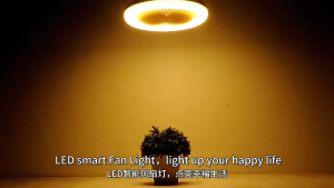 50CM Ceiling fan with light LED ceiling fan light Remote control and app control Dimmable speed adjustable quiet bladeless ceiling fan