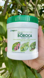 Phân Bón Lá Trung Vi Lượng BOROCA (Canxi – Bo) – Chống Rụng Hoa Trái Non – Chống Nứt Trái Thối Trái – Hạn Chế Bị Xơ Đen (Hộp 500g)