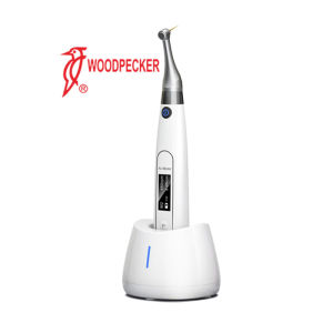 Woodpecker Ai-Motor Dental Endo Motor Wireless Root Canal Treatment Instrument Motor Brushless Therapy Endodontico Machine