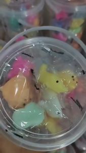Cute pet Tuanzi Knead music 12 bucket small gift decompression doll cat animal vent toy