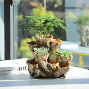 Multi-Layer Succulent Plant Flowerpot Creative Strange Shape Meat Special Large Diameter Non-Wooden Ceramic Flowerpot Large Basin