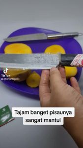 Pisau dapur termurah kualitas terjamin cap sofyan