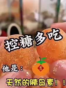 Cough Relief Throat Clearing Dried Kumquat