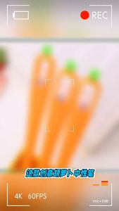 Bút nước bút gel hình củ cà rốt bút carrot cute dễ thương cao cấp kiểu mới