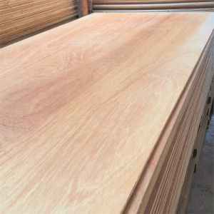 Triplek 3mm 4mm 5mm 8mm 9mm 12mm 15mm 18mm Non Sanding/permukaan kasar