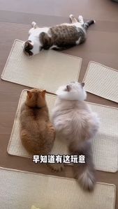 SG Sisal Cat Scratcher Mat Floor Scratching Pad Rug Scratch Pad for Cat Grinding Claws & Protecting Furniture Carpets and Sofa