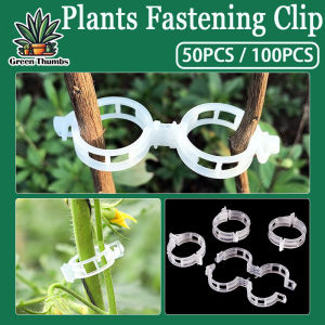 100pcs Plants Vegetable Fastening ClipTomato Clips SupportsReusable Garden Clips Plants Bundled Tools