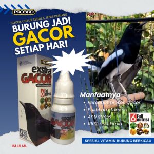 VITAMIN BURUNG BERKICAU EXTRA GACOR KENARI MURAI BATU KACER COCAK IJO TETES KE MAKANAN BURUNG DAN MINUMAN