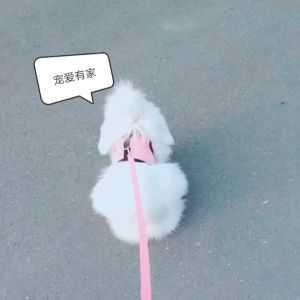 V.TOP Pawaca Peliharaan Anjing Kecil dan Kucing Kelinci Hewan Peliharaan Kecil Adjustable Mesh Tali Kekang