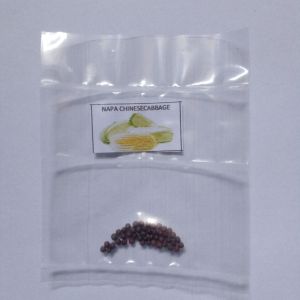 15-20 seeds Napa Chinese Cabbage binhi pantanim