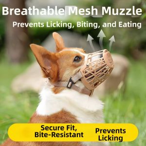 NAIFUNA | Bite Prevention Bark Stopper Can Drink Water Mouth Guard
