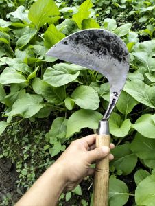 arit rumput dan padi si LENYAP bahan baja selap atau isen cap MATAHARI