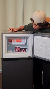 TCL 130/190/280/438L Chest Freezer with Big Space Mechanical Control TCF-130G TCF-190G TCF-280G TCF-438G