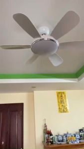 Quạt Trần Đèn Trang Trí Phòng Khách DCT911 Quạt Trần Đẹp 6 Cánh Màu Trắng Kèm Điều Khiển Từ Xa 6 Tốc độĐộng Cơ DC Siêu MátSiêu Tiết Kiện ĐiệnBảo Hành 5 Năm