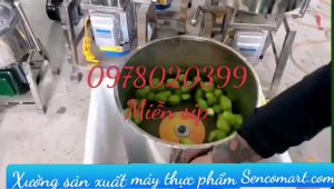 Máy caọ vỏ sấu gọt vỏ khoai sọ