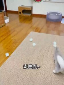 Candy Color Paper Ball Cat Kitten Toy Playing Pet Interactive Pet Toy Mainan Kucing Bola Bell Ball Cat Teaser Toy