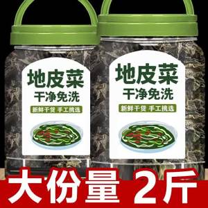 Wild Natural Ready-to-use Moss