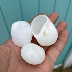 haohushi | Natural Seashell Hermit Crab Shell Replacement Aquarium Decor