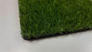 SG Seller - Artificial Grass - SunTurf Ecoturf - 15 mm (5 meter x 2 Meter)