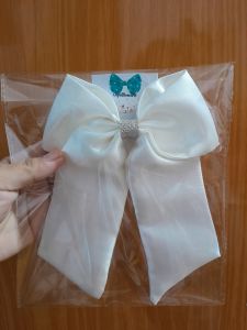 Wedding Veil / Bridal shower Veil/ civil wedding / prenup