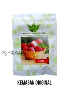 10 BUTIR BENIH TANAMAN LECI IMPORT (KEMASAN ORIGINA)