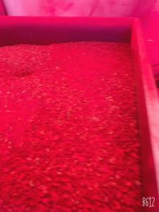 Nghệ đỏ cho gà đá bao nguyên chất bịch 0.3kg