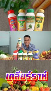 ปกป้องพืชจากหนอนเพลี้ย แมลงปากดูด เคลียราห์ 1 ขวด ไม่มีสารตกค้างในพืชผลทางการเกษตร ปกป้องพืชประธานและผักทุกชิด สินค้าพร้อมจัดส่งใน1วัน