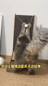 Vertical Cat Scratcher Corrugated Paper Furniture Protector Lounge Bed Interactive Play Toy Standing Scratching Board