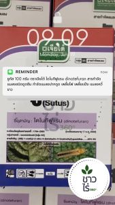 ซูทัส 100 กรัม ตราเจียไต๋  ไดโนทีฟูแรน dinotefuran 20% SG สารกำจัดแมลงชนิดดูดซึม กำจัดแมลงปากดูด เพลี้ยไฟ เพลี้ยแป้ง เพลี้ยอ่อน เพลี้ยจักจั่น แมลงหวี่ขาว ป้องกันแมลงปากดูดในระยะกล้าได้ดี