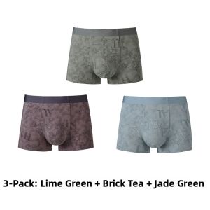 Mens Boxer Briefs High Elasticity Retro Print