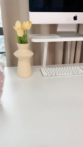 BAGSMART Women Crossbody Bag Lightweight Small Purses Quilted Puffer Shoulder Handbag for Daily Leisure Travel