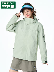 Wooden Forest Womens Three-in-One Spring Autumn Windproof Loose Jacket Outerwear Stylish New 2025 Short Coat