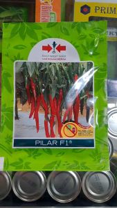 BENIH CABAI MERAH BESAR PILAR F1 CAP PANAH MERAH