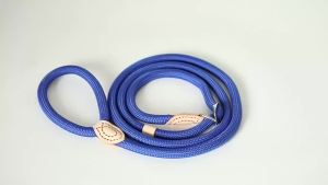Dog Walking Leash Slip Rope Lead Leash Heavy Duty Braided Rope Adjustable Loop Collar Training Leashes for Large Dogs
