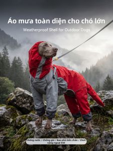hipidog | Áo Mưa Chống Thấm Nước Cho chó Theo Giống