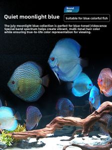 JiYin | RGB Red Blue LED Aquarium Light Water Resistant