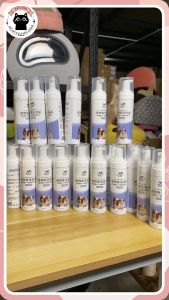 โฟมอาบน้ำแมว แชมพูอาบน้ำแมว โฟมอาบแห้ง สำหรับน้ำแมว สำหรับผู้ชาย ผู้ชายที่มีโอกาสสำหรับน้ำ