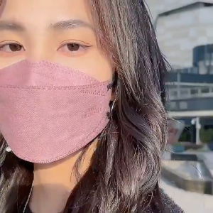 [Individual Package] BT 30PCS KF94 Mask Eye Protection 4Ply Korean Original Adult Mask 4 Gradient High Quality Meltblown Morandi Color Layers Cartoon 3D Not Single Use Beauty Facial Color 口罩