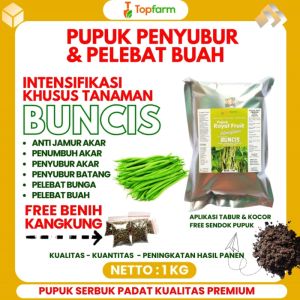 Pupuk Buncis / Pupuk Pelebat Buah Buncis / Pelebat Buah Buncis / Obat Pelebat Buah Buncis / Obat Penyubur Buah Buncis / Obat Penyubur Tanaman Buncis