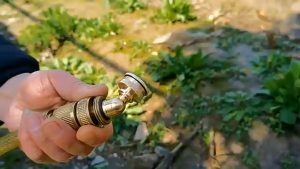 ชุดหัวพ่นยา หัวพ่นยา หัวพ่นยาทองเหลือง หัวพ่นยาแบตเตอรี่ หัวพ่นยาหัวจรวด หัวฉีดยา หัวฉีดพ่นยา อะไหล่หัวพ่น ใช้กับเครื่องพ่นยา767