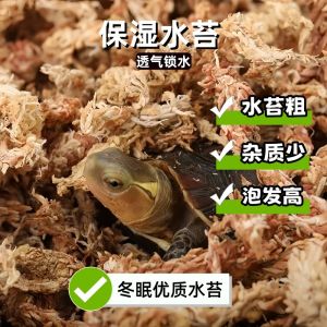 Winter Sleeping Box Set for Yellow-edged Turtle Reptile Pet Care Supplies Turtle Dormancy Kit Moss Bedding Small Turtle Box
