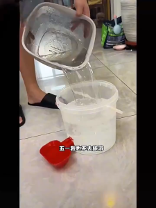 AP AIMAYAPET Pet Cat Water Dispenser Unplugged Automatic Water Filling Portable Dog Automatic Water Dispenser