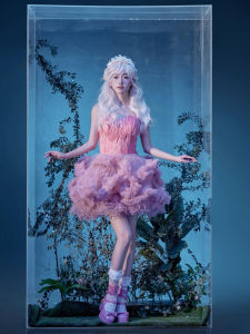 ชุดราตรีทรงพองเอวสูง แขนกุด กระโปรงสั้น สไตล์เจ้าหญิง ปักลาย เนื้อผ้าผสมโพลีเอสเตอร์และไนลอน สำหรับผู้หญิงอายุ 18-29 ปี