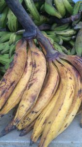 pisang tanduk madu asli cianjur selatan.1kg