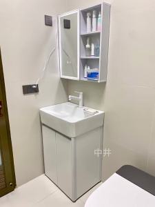 Bathroom Vanity Cabinet Toilet Sink Cabinet Bathroom Vanity Cabinet Bathroom Vanity Cabinet Storage Set ARC Small Apartment Floor Wash Basin Alumimum Combination Ceramic Integrated 浴室柜