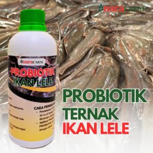 Probiotik Ikan Lele 500 ml: Solusi Kesehatan dan Pertumbuhan